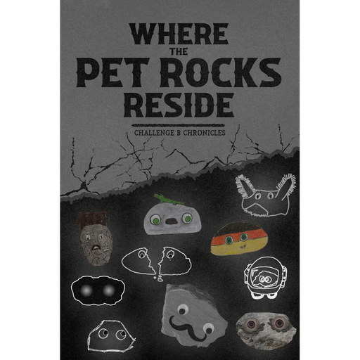 Where the pet rocks reside: Challenge B chronicles